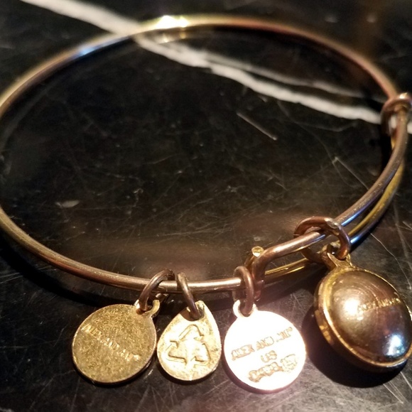 Alex and Ani February Birthstone AMETHYST Rafaelia - Picture 5 of 7